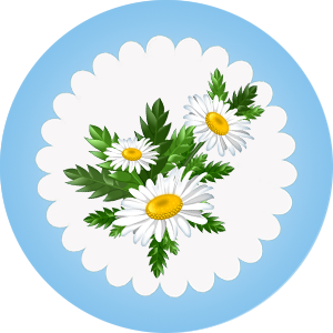 gruppa 10