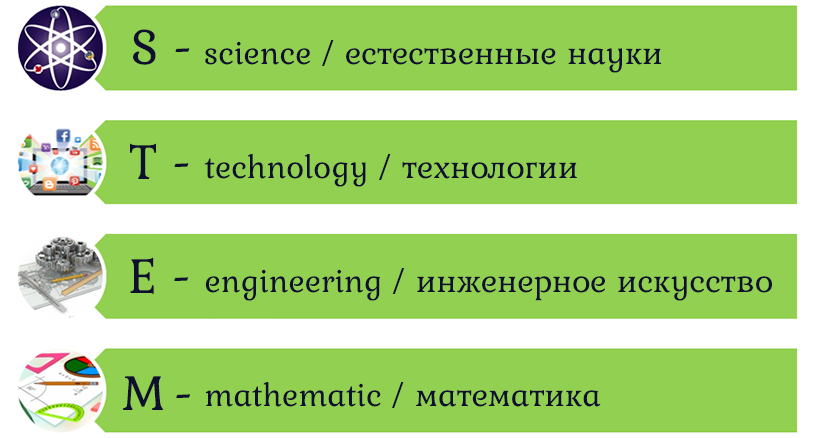 stem 06