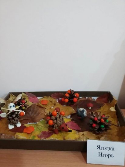 img-20181031-wa0026