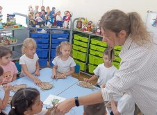 Тайны мира жуков
