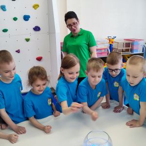 IMG 20250608 114816 780